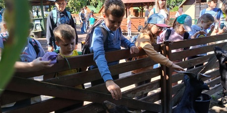 Powiększ grafikę: akcja-lato-dzien-3-636070.jpg