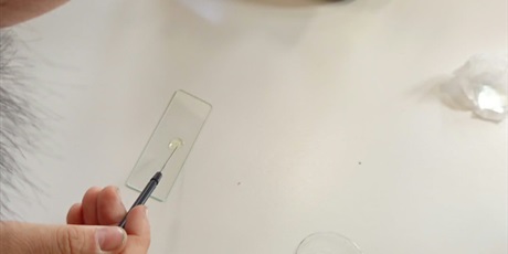 Biologia w obiektywie ! 🔬  