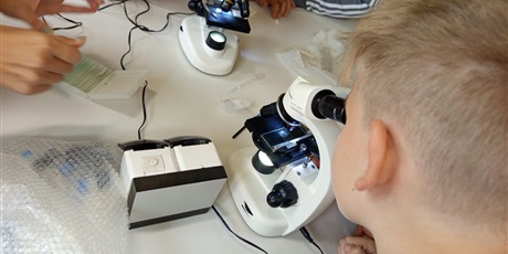 Powiększ grafikę: biologia-w-obiektywie-718520.jpg