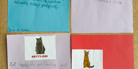 Powiększ grafikę: dzieci-w-swietlicy-swietowaly-swiatowy-dzien-kota-679210.jpg