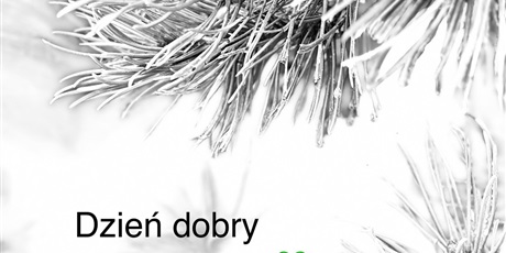 Dzień dobry w Nowym Roku!