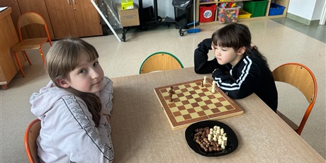 Powiększ grafikę: gdy-pionek-staje-sie-krolowa-676516.jpg