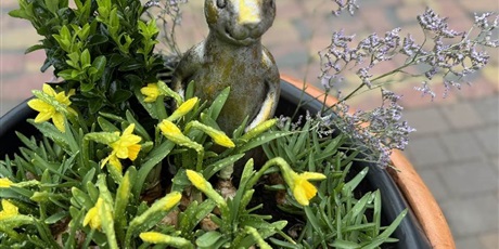 Powiększ grafikę: Donica z wiosennymi roślinami i figurką zajączka wśród żółtych kwiatów