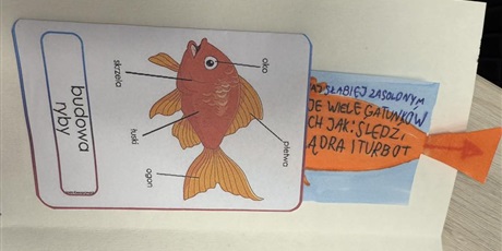 Powiększ grafikę: lapbooki-to-ciekawa-metoda-pracy-z-uczniami-615288.jpg