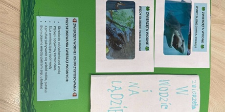 Powiększ grafikę: lapbooki-to-ciekawa-metoda-pracy-z-uczniami-615290.jpg