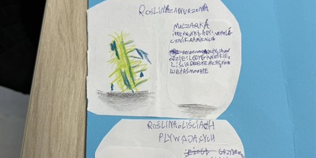 Powiększ grafikę: lapbooki-to-ciekawa-metoda-pracy-z-uczniami-615292.jpg
