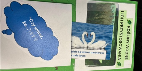 Powiększ grafikę: lapbooki-to-ciekawa-metoda-pracy-z-uczniami-615295.jpg