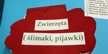 Powiększ grafikę: lapbooki-to-ciekawa-metoda-pracy-z-uczniami-615296.jpg