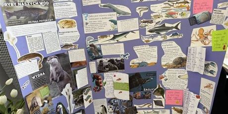 Powiększ grafikę: Duży lapbook z koilorowymi wycinkami!