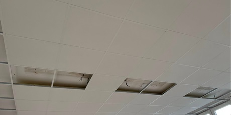 Powiększ grafikę: nasza-zielonka-pieknieje-649599.jpg