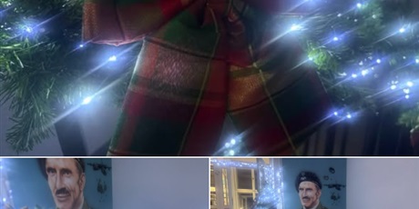 Nasza ,,Zielonka” w światełkach 🎄💚