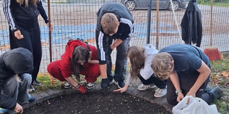 Nowe żonkile na "Poletku Nadziei"