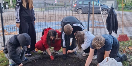 Powiększ grafikę: nowe-zonkile-na-poletku-nadziei-654010.jpg