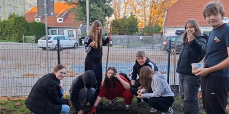 Powiększ grafikę: nowe-zonkile-na-poletku-nadziei-654011.jpg