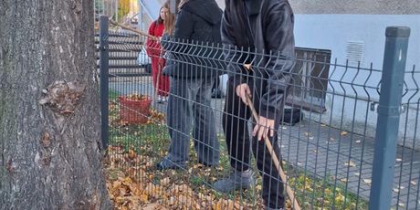 Powiększ grafikę: nowe-zonkile-na-poletku-nadziei-654013.jpg