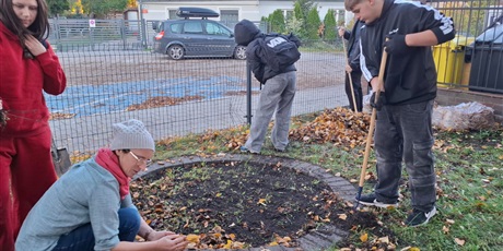 Powiększ grafikę: nowe-zonkile-na-poletku-nadziei-654014.jpg