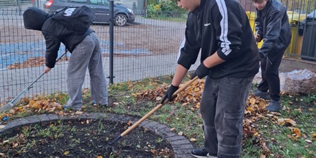 Powiększ grafikę: nowe-zonkile-na-poletku-nadziei-654015.jpg