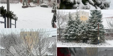 Piękna jest nasza ,,Zielonka” 💚