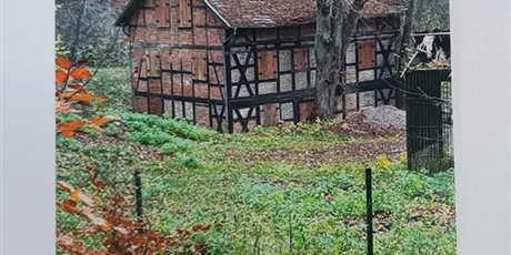 Powiększ grafikę: „Stary drewniany dom w stylu szachulcowym pośród drzew i jesiennej roślinności.”