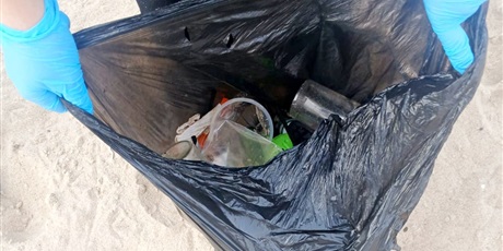 Powiększ grafikę: sprzatanie-swiata-sos-dla-wody-713325.jpg