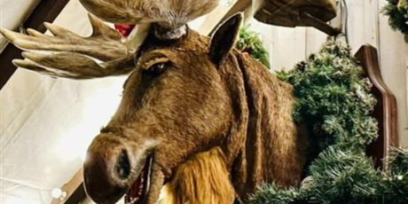 Powiększ grafikę: swiateczna-wyprawa-swietlicy-przystan-668124.jpg