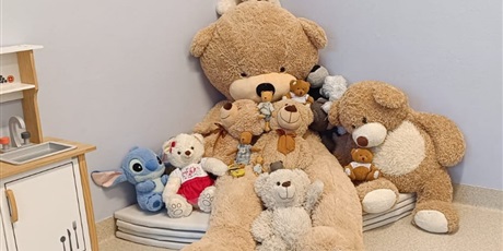 Powiększ grafikę: swiatowy-dzien-misia-w-zerowce-659877.jpg