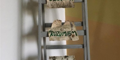 Powiększ grafikę: Napisy z kory na drabinie.