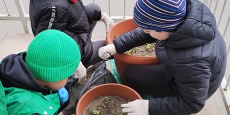 Wiosenka przed wejściem do szkoły