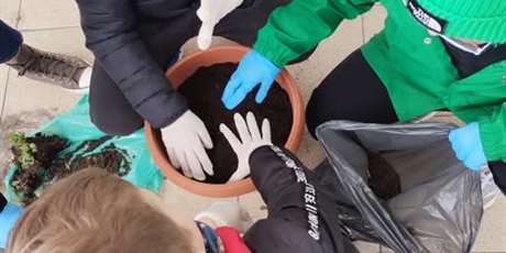 Powiększ grafikę: wiosenka-przed-wejsciem-do-szkoly-605500.jpg