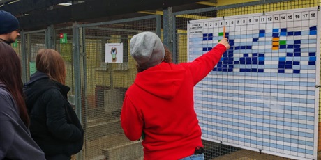 Powiększ grafikę: wycieczka-do-schroniska-promyk-657271.jpg