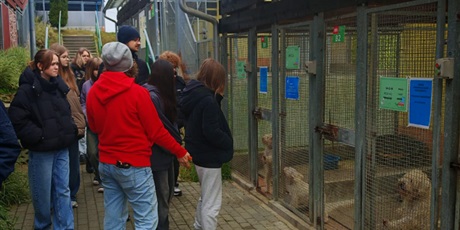 Powiększ grafikę: wycieczka-do-schroniska-promyk-657272.jpg