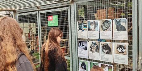 Powiększ grafikę: wycieczka-do-schroniska-promyk-657273.jpg