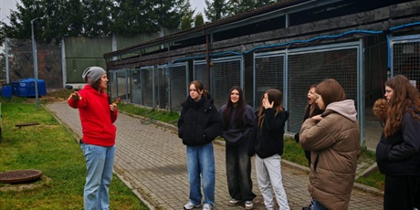 Powiększ grafikę: wycieczka-do-schroniska-promyk-657274.jpg