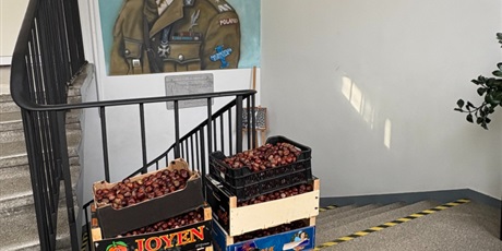 Powiększ grafikę: zakonczylismy-akcje-zbieraj-kasztana-dla-bohatera-jana-649670.jpg