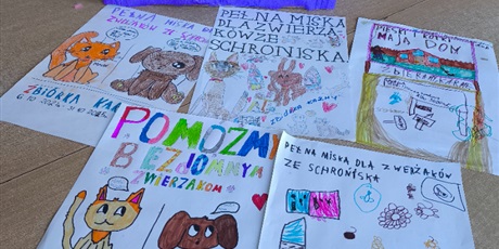 Zbiórka dla zwierząt