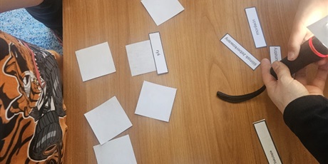 Powiększ grafikę: zdobywanie-wiedzy-o-zagrozonych-gatunkach-690222.jpg