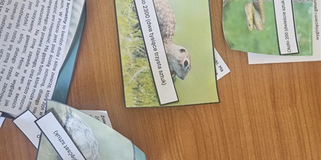 Powiększ grafikę: zdobywanie-wiedzy-o-zagrozonych-gatunkach-690223.jpg