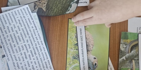 Powiększ grafikę: zdobywanie-wiedzy-o-zagrozonych-gatunkach-690224.jpg