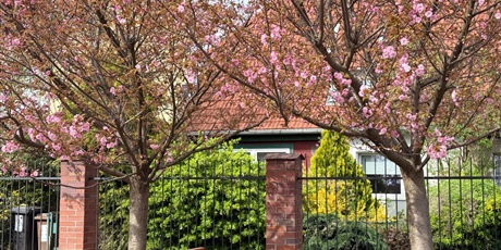 Powiększ grafikę: .Kalejdoskop naszej „Zielonki” – tradycja, rozwój, kreatywność, relacje i nowoczesność – zobacz, ile się u nas dzieje i poczuj klimat szkoły”!