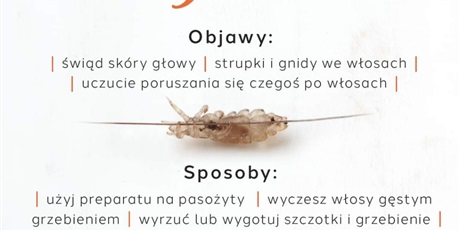 Powiększ grafikę: Profilaktyka Zdrowotna