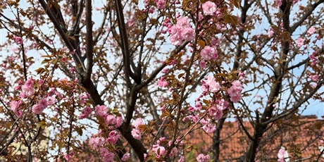 Powiększ grafikę: Rekrutacja - rok szkolny 2026/2027