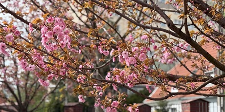 Powiększ grafikę: Rekrutacja - rok szkolny 2026/2027