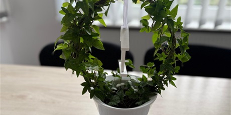 Powiększ grafikę: Rekrutacja - rok szkolny 2026/2027